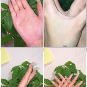 #46 - Palm And Nail Show