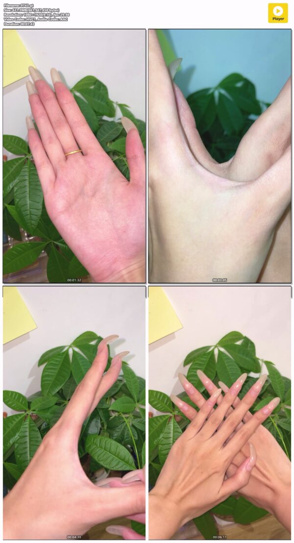 #46 - Palm And Nail Show