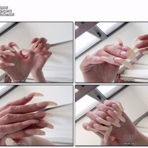 #503 - Bright Natural Long Nail Showing