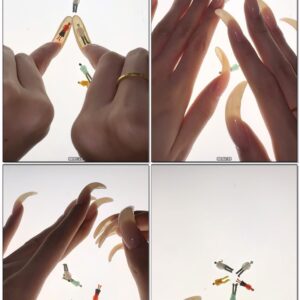 #779 - Shine Through Long Nails Fiddling With Miniatures