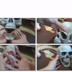 #111 – VR/3D – Tapping Toy Skull with My Shiny Long Nails