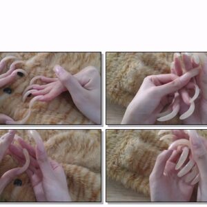 #447 – VR/3D – My Long Shiny Curved Nails On Carpet