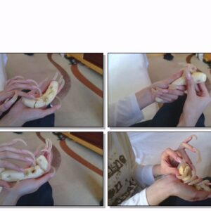 #452 – VR/3D – Piercing Banana With My Long Sharp Nails