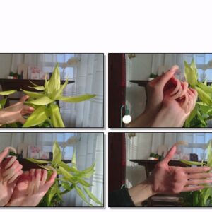 #516 – VR/3D – Showing My Long Natural Nails In Sunlight