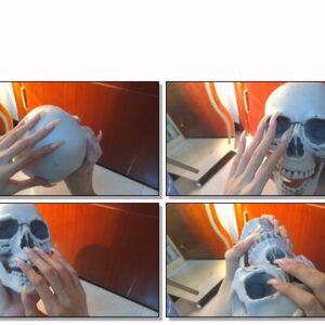 #549 – VR/3D – Scratching Toy Skull With My Long Nailbed Nails