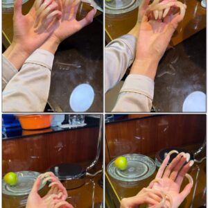 #1041 – First Person Showing Of My Long Curved Nails