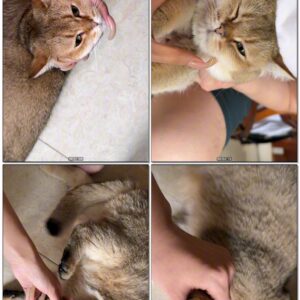#1073 – Petting Cat With My Long Natural Nails