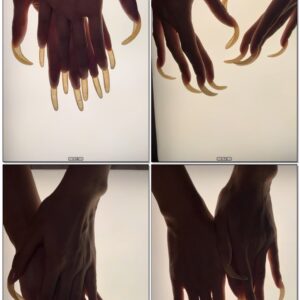 #1081 – Shining Light Through My Long Curved Nails